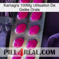 Kamagra 100Mg Utilisation De Gelée Orale 09
